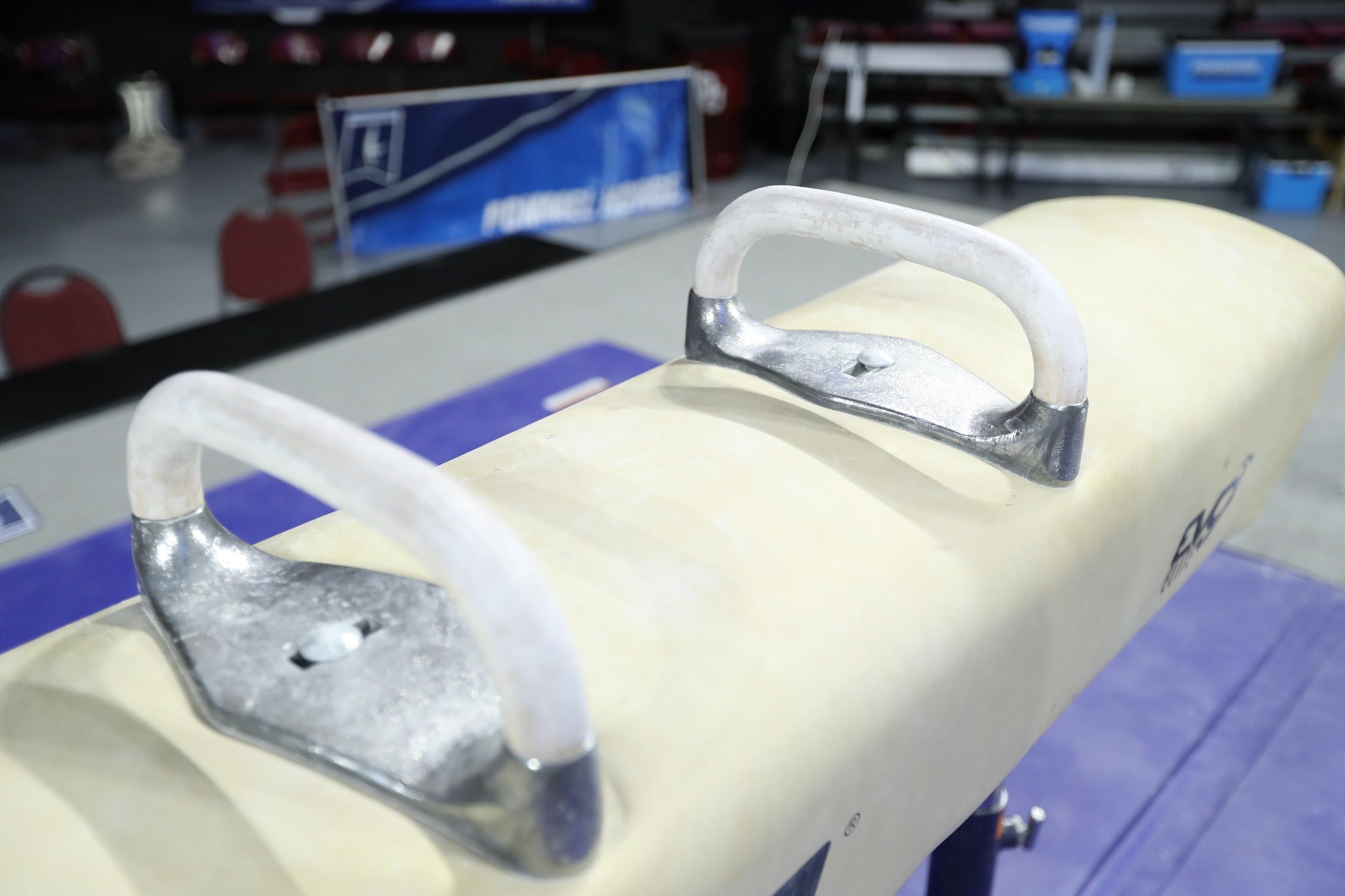 Men's gymnastics